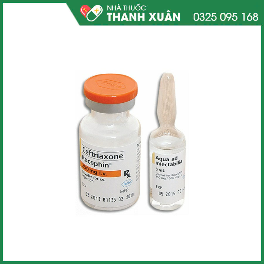 Rocephin 250mg i.v thuốc điều trị nhiễm trùng do các mầm bệnh nhạy cảm và dự phòng các nhiễm trùng trong phẫu thuật